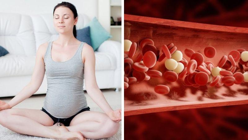 Những bài tập Yoga dành riêng cho bà bầu theo từng giai đoạn thai kỳ không chỉ giúp mẹ duy trì sức khỏe mà còn hỗ trợ sự phát triển toàn diện của thai nhi. Cùng khám phá những động tác Yoga phù hợp với từng tam cá nguyệt nhé.