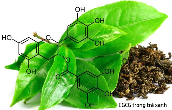 EGCG là một hợp chất tự nhiên mạnh mẽ, nổi bật với khả năng bảo vệ sức khỏe nhờ tác dụng chống oxy hóa vượt trội. Cùng tìm hiểu sâu hơn về công dụng tuyệt vời của EGCG.