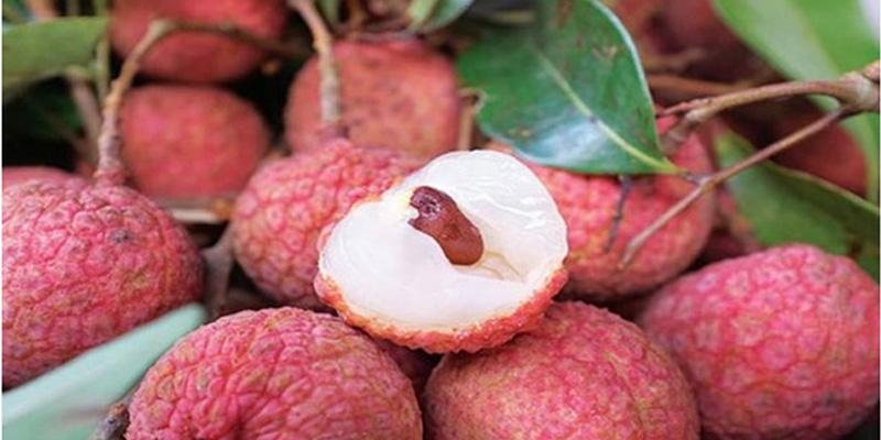 Bí quyết nhận diện vải thiều Việt Nam và Trung Quốc chính xác