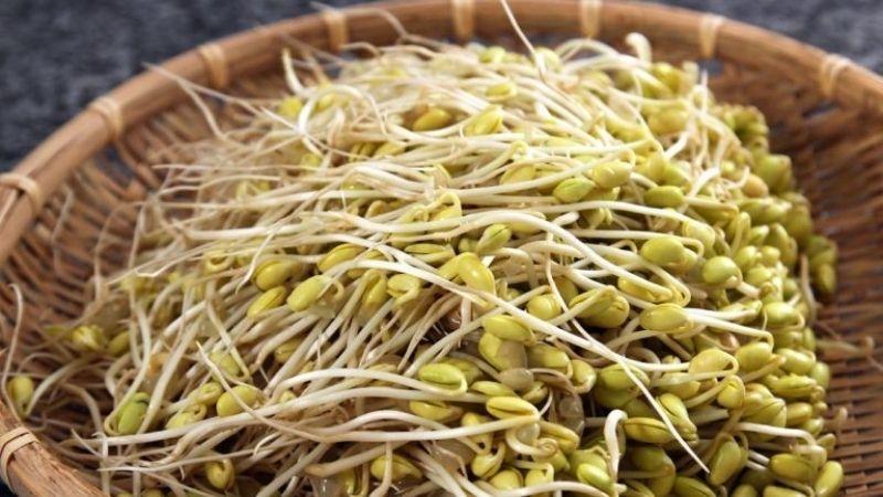Giá đỗ lên lá xanh có an toàn để ăn không?