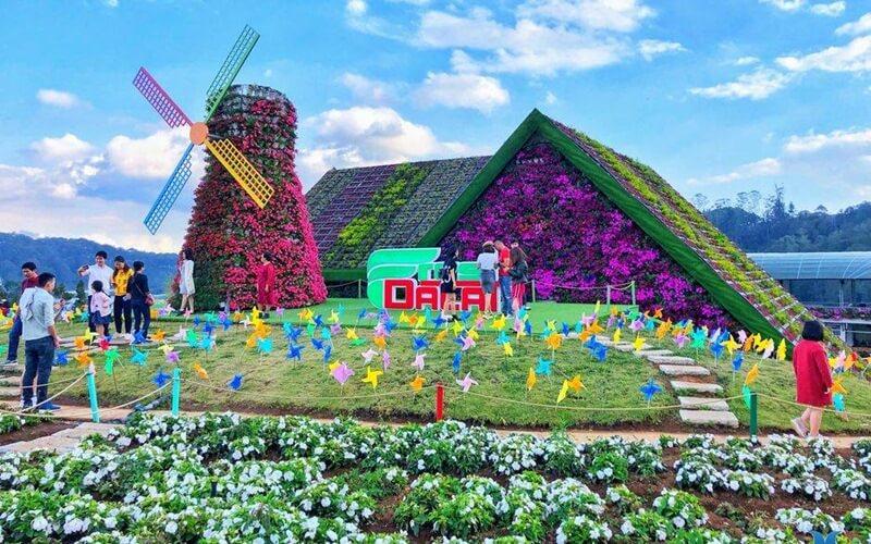Hơn 50 caption thả thính siêu hay cho chuyến du lịch Đà Lạt của bạn