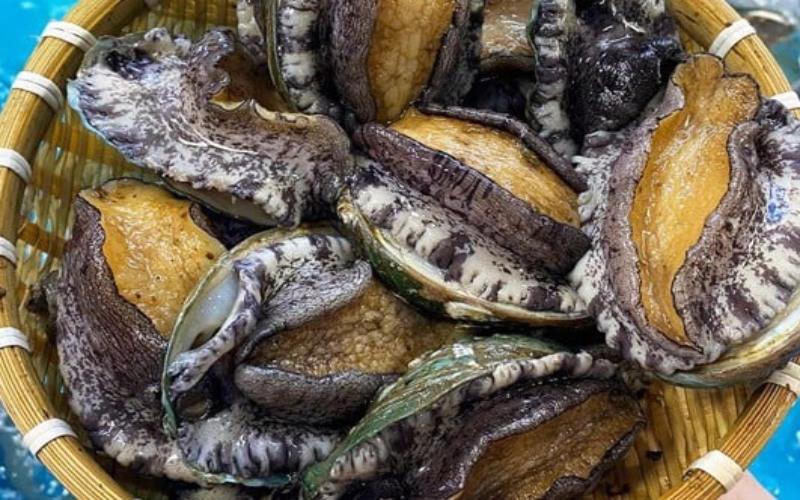 Bào ngư Hàn Quốc hiện nay có giá bao nhiêu mỗi kg? Hãy cùng khám phá giá trị dinh dưỡng mà bào ngư mang lại cho sức khỏe của bạn.