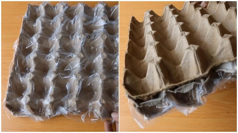 3 cách trồng hành lá từ củ hành tím cực dễ tại nhà – làm là lên, không cần chờ đợi