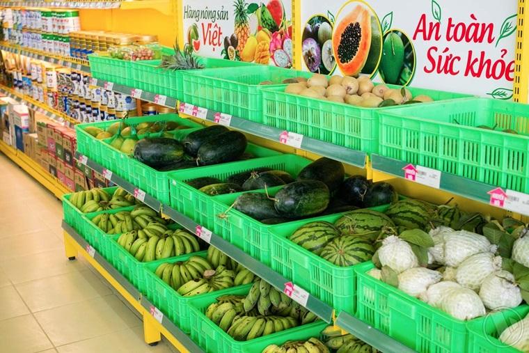 Khám phá những loại trái cây tươi đặc sắc hiện đang có mặt tại hệ thống siêu thị Tripi, mang đến cho bạn những sự lựa chọn tuyệt vời về hương vị và chất lượng.