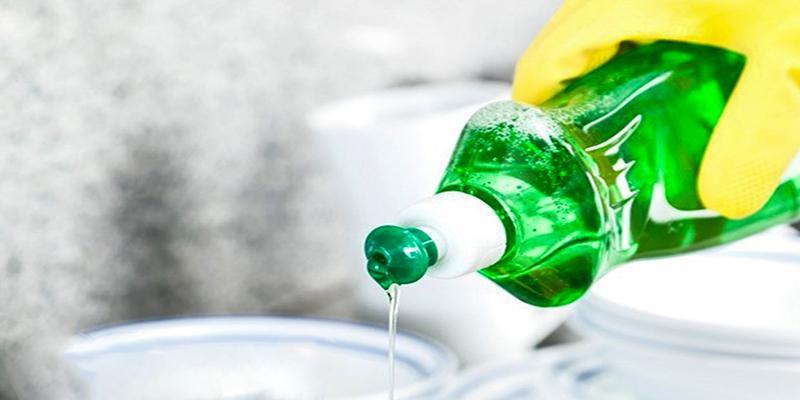 Khám phá phương pháp diệt rệp hiệu quả từ nước rửa chén