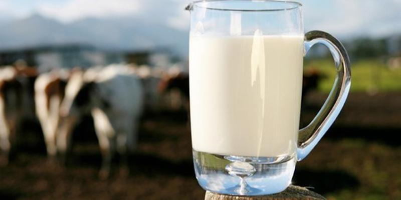 Hướng dẫn cách tiệt trùng sữa bò tươi tại nhà