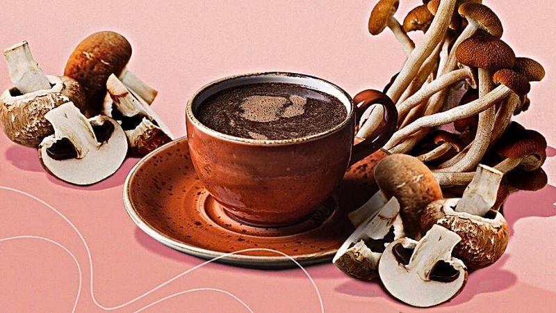 Khám phá cà phê nấm (mushroom coffee) và những lợi ích tuyệt vời cho sức khỏe