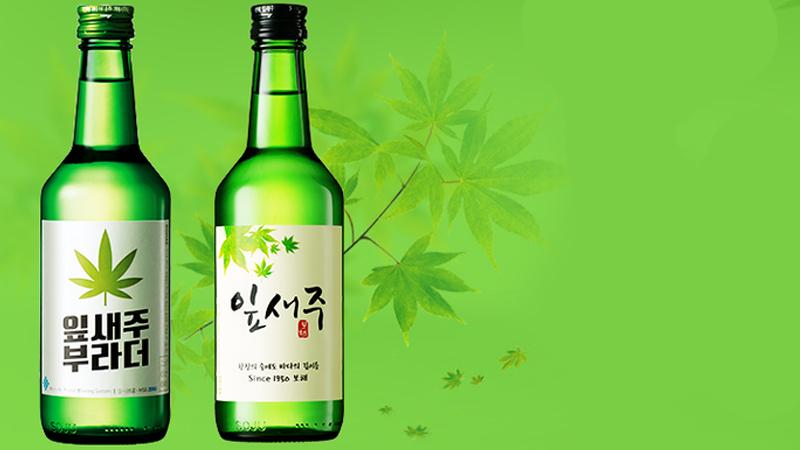Tổng hợp những thương hiệu rượu Soju Hàn Quốc danh tiếng mà bạn nhất định phải trải nghiệm