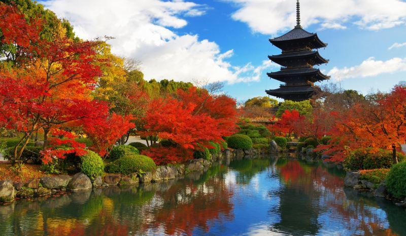 9 tour du lịch quốc tế giá hợp lý và được yêu thích nhất
