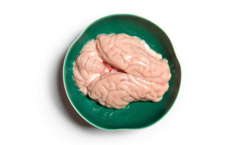 Sự thật về việc ăn nhiều óc heo có giúp trẻ phát triển trí não, tăng cường thông minh và cải thiện trí nhớ