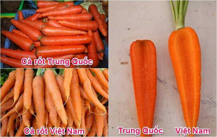 Cách nhận biết cà rốt Việt Nam và Trung Quốc