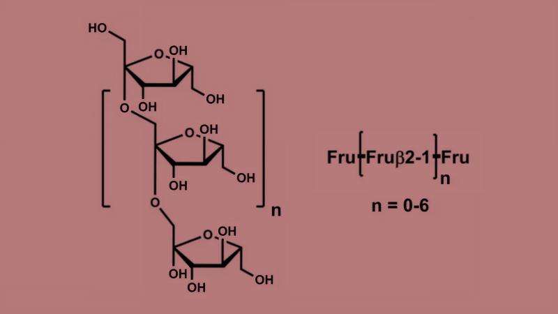 Fructooligosaccharides là thành phần gì trong mỹ phẩm và tác dụng của nó ra sao?