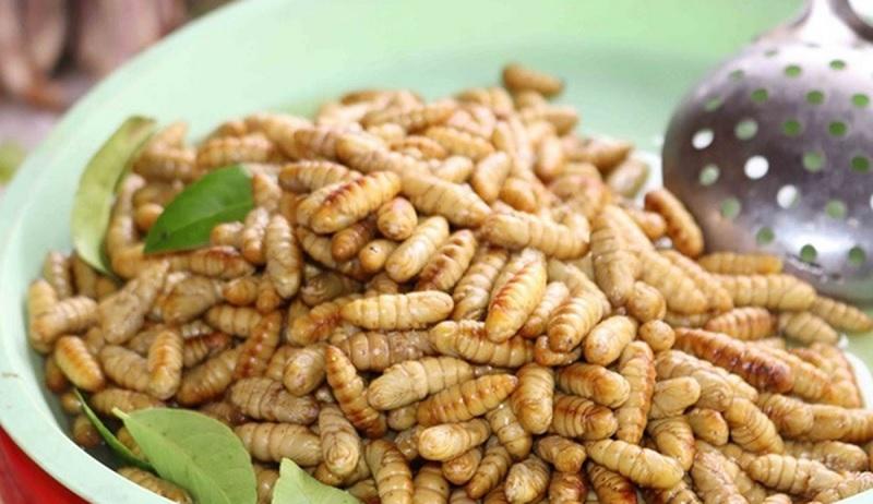 Nhộng tằm là một nguyên liệu độc đáo trong ẩm thực, không chỉ nổi bật trong các món ăn dân gian mà còn chứa đựng nhiều giá trị dinh dưỡng tuyệt vời. Được biết đến rộng rãi với vai trò là thực phẩm bổ dưỡng, nhộng tằm đã trở thành món ăn được ưa chuộng tại nhiều vùng miền trên cả nước.