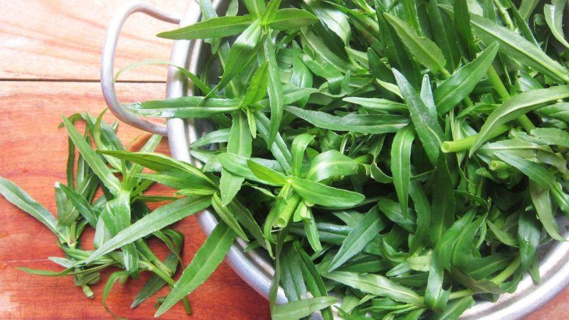 Rau ngổ là loại rau gì và những món ăn tuyệt vời từ nó