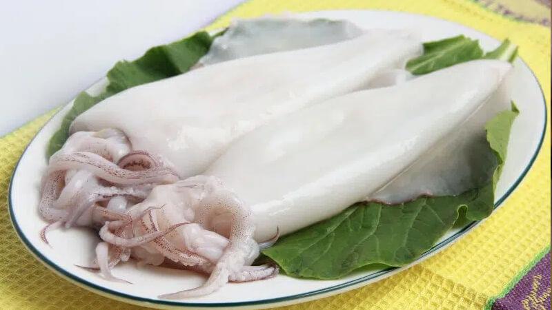 Khám phá về mực biển: các loại, cách chọn lọc và phương pháp chế biến tinh tế