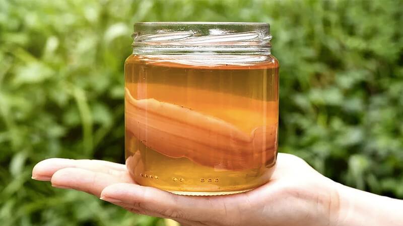 Trà kombucha có cồn không? Uống kombucha có gây say hay không?