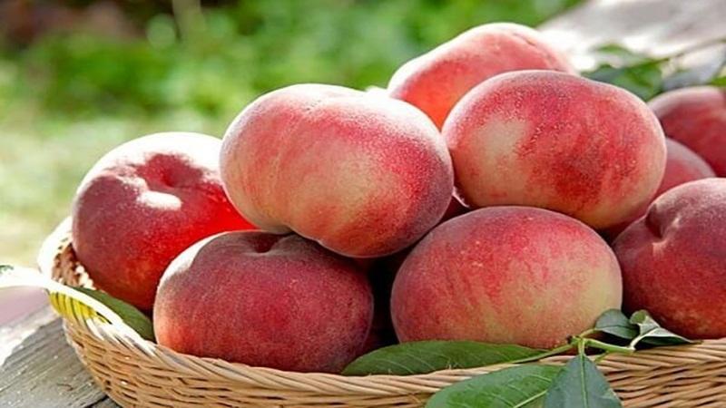 Đào chứa bao nhiêu calo? Ăn đào có thể gây tăng cân không?