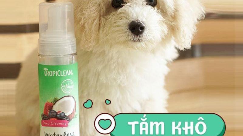Top 10 loại sữa tắm khô cho chó giúp giữ hương lâu, khử mùi hôi hiệu quả, mang đến sự tươi mới cho thú cưng