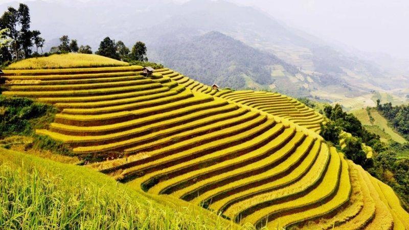 Khám phá 5 điểm đến không thể bỏ qua khi du lịch Hoàng Su Phì (Hà Giang)