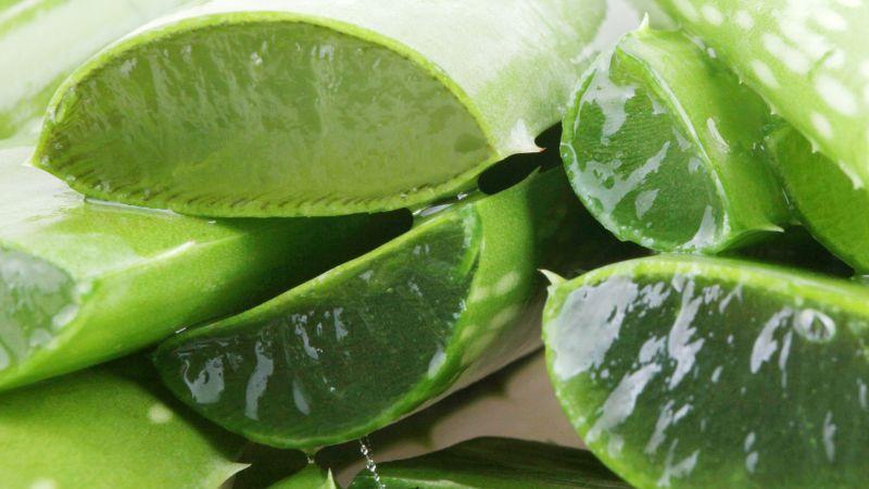 Khám phá cách chữa cháy nắng hiệu quả, đơn giản với nha đam, một nguyên liệu tự nhiên dễ tìm và an toàn cho làn da.