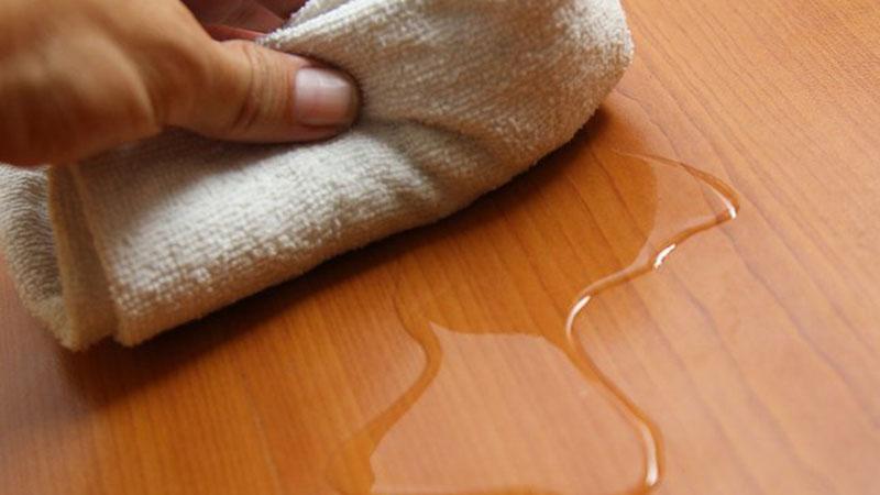 Mẹo khử mùi nước tiểu thú cưng trong nhà cực kỳ hiệu quả