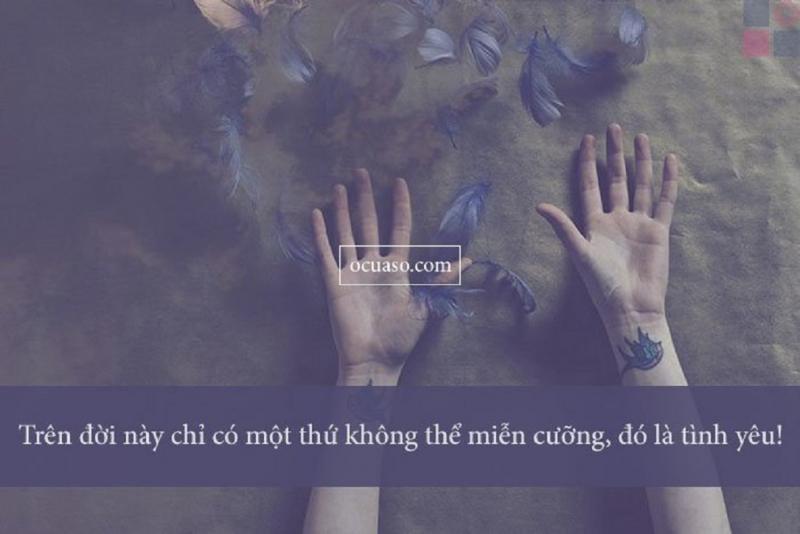 Top 11 truyện ngôn tình ngược xuất sắc nhất của Lục Xu khiến độc giả thổn thức