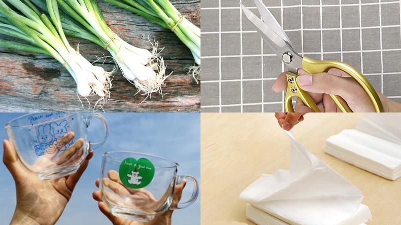 Khám phá phương pháp trồng hành lá trong tủ lạnh để chúng luôn tươi xanh và không bị úng trong suốt cả tháng.
