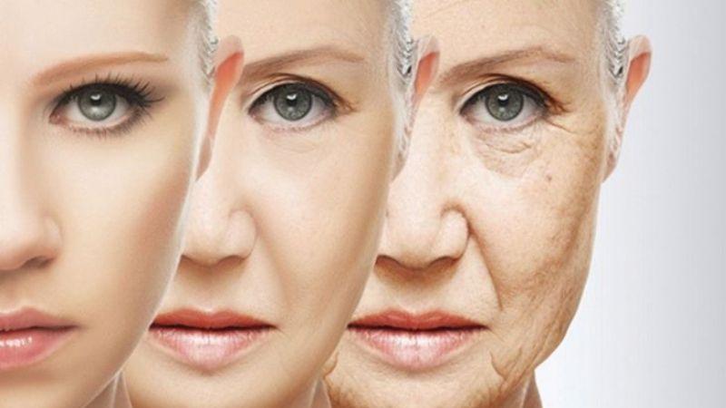 Stress oxy hóa là gì và làm sao để phòng ngừa hiệu quả? Cùng khám phá với Tripi những thông tin hữu ích về hiện tượng này.