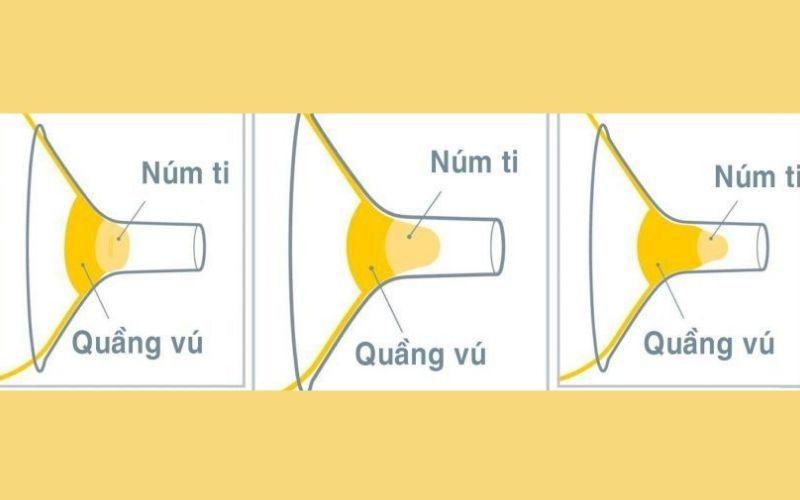 Hướng dẫn chọn phễu hút sữa phù hợp, dễ dàng sử dụng cho mọi loại máy hút sữa