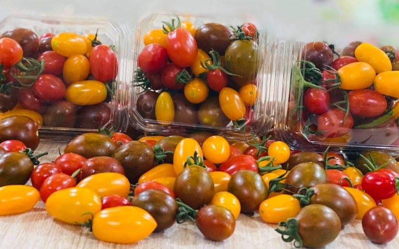 Cà chua cherry là một loại cà chua nhỏ nhắn, với hương vị ngọt ngào và màu sắc bắt mắt. Vậy cà chua cherry có gì đặc biệt, và các loại nào tươi ngon nhất? Hãy cùng khám phá!