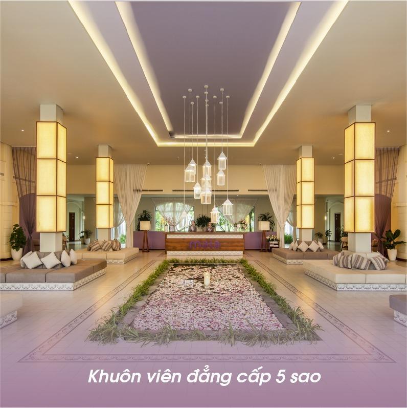 Top 3 địa chỉ gội đầu dưỡng sinh tốt nhất tại TP. Sầm Sơn, Thanh Hóa