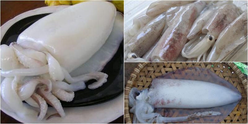 Cách chế biến mực thơm ngon, không bị dai