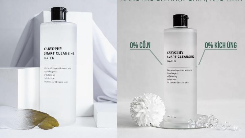 Khám phá 10 loại nước tẩy trang lý tưởng dành cho da hỗn hợp, vừa hiệu quả vừa an toàn cho làn da