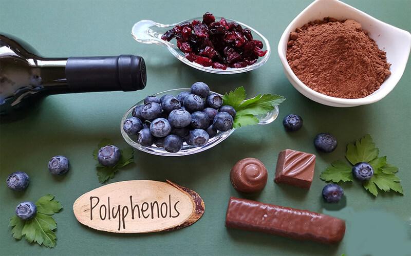 Polyphenol là gì và vì sao cơ thể chúng ta không thể thiếu dưỡng chất này?