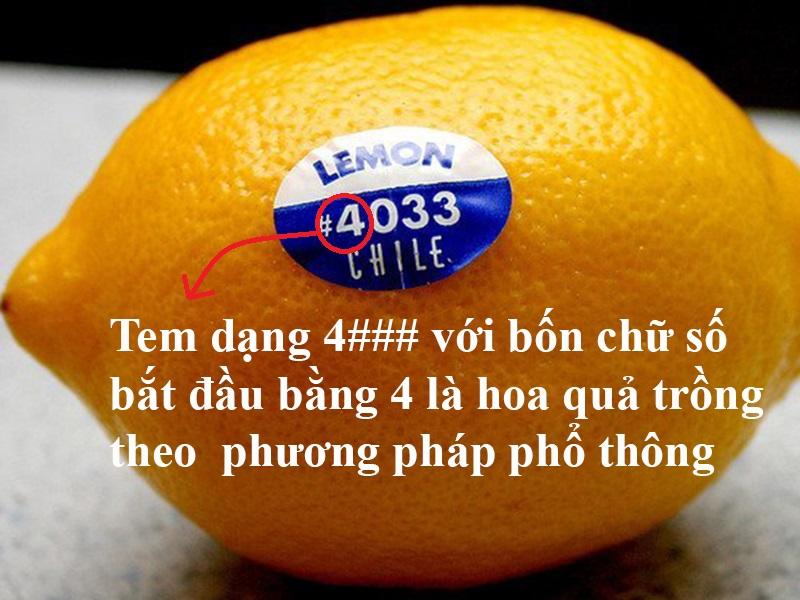 Bạn đã bao giờ thắc mắc những con số trên trái cây thực sự mang ý nghĩa gì?
