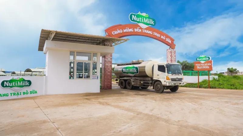 Creamer đặc sữa pha chế NutiMilk là sản phẩm gì và mức giá của nó như thế nào?