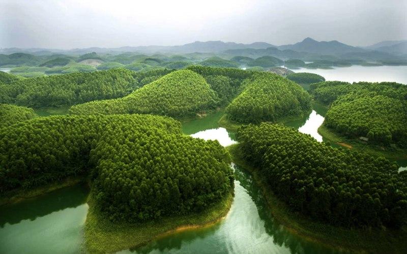 Du lịch Gia Lai: Cẩm nang khám phá và 32 điểm đến tuyệt đẹp, hấp dẫn
