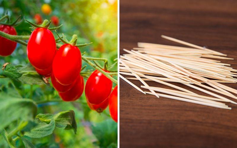 Chỉ trong một phút, bạn có thể tạo ra những trái cà chua hình trái tim tuyệt đẹp, lý tưởng để trang trí món ăn trong ngày Valentine.