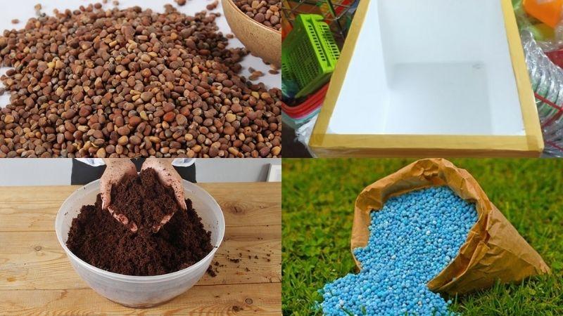 Hướng dẫn trồng cải thìa trong thùng xốp đạt năng suất tối ưu