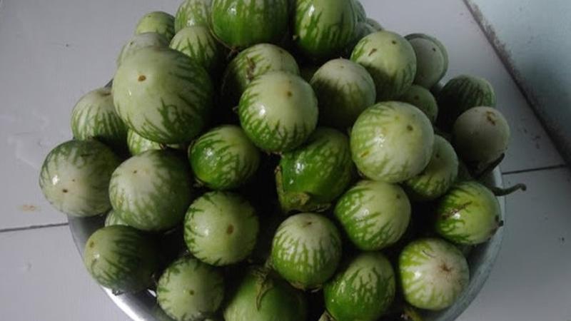 Cà đắng - Món đặc sản độc đáo của Tây Nguyên