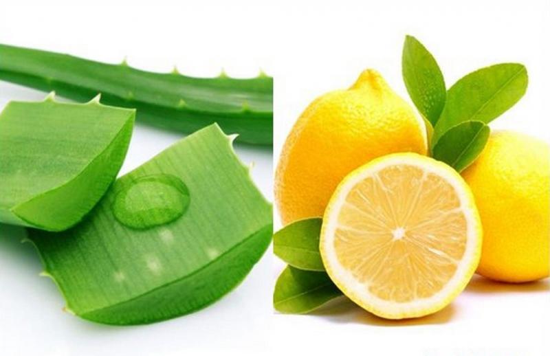 Top 10 Mặt nạ dưỡng ẩm cho da khô trong mùa đông từ nguyên liệu thiên nhiên tuyệt vời