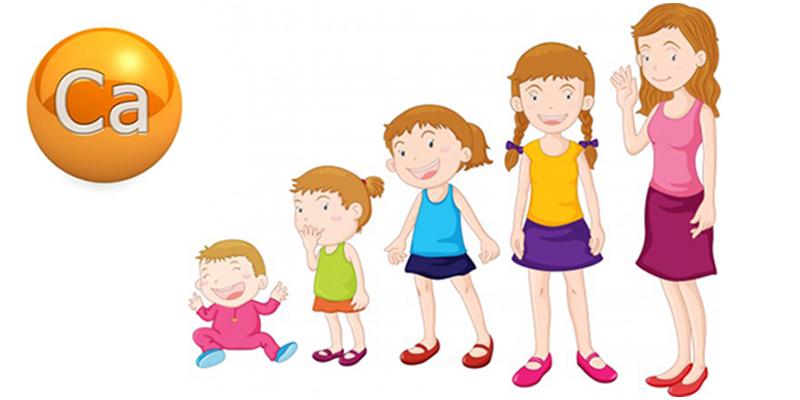 Thời điểm vàng để bé uống canxi, thúc đẩy phát triển chiều cao vượt trội