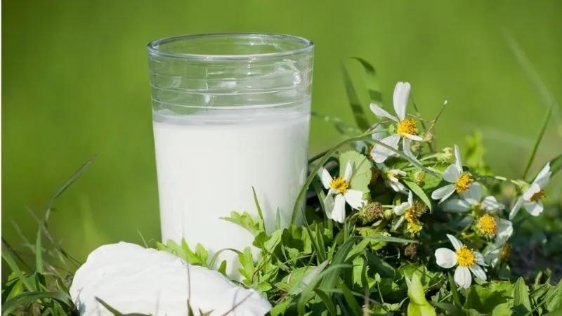Cách pha bột sắn dây đúng chuẩn và hướng dẫn uống sao cho phát huy tối đa lợi ích.
