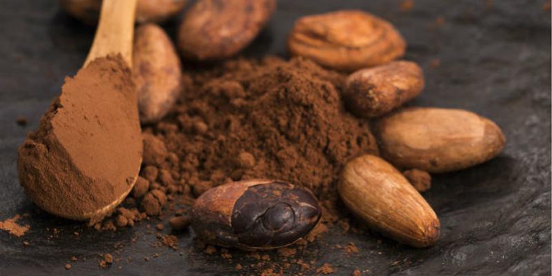 Cacao có lợi ích gì và trẻ nhỏ có nên sử dụng không?