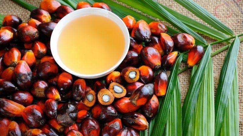 Palmitic Acid là gì? Và công dụng của Palmitic Acid trong mỹ phẩm ra sao?