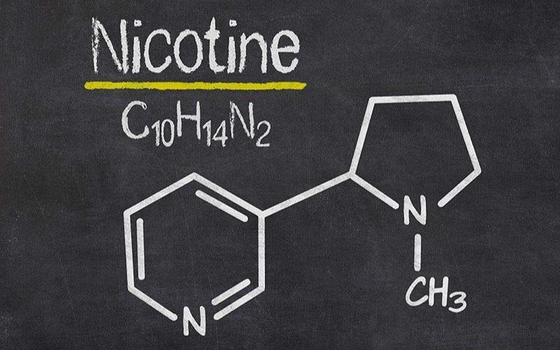 Nicotine là gì? Tác hại của nicotine đối với sức khỏe con người
