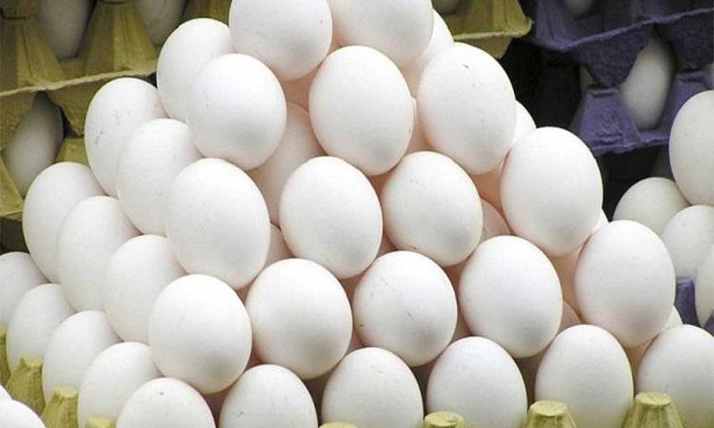 Có thể thay trứng gà bằng trứng vịt trong các công thức làm đẹp không?