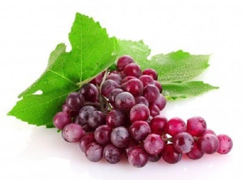 Top 10 Loại Quả Giúp Chăm Sóc Da Mà Chị Em Không Thể Bỏ Qua