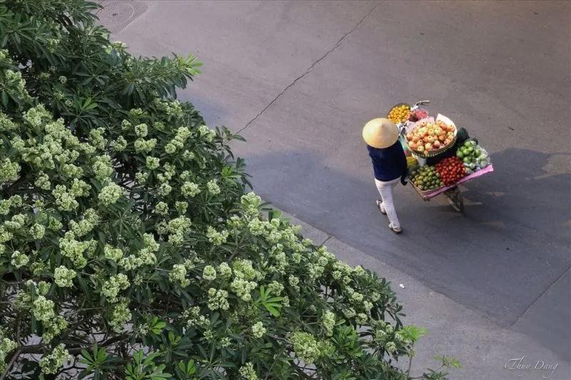 15 Điều Tạo Nên Vẻ Đẹp Thơ Mộng Của Hà Nội Trong Mắt Du Khách Quốc Tế