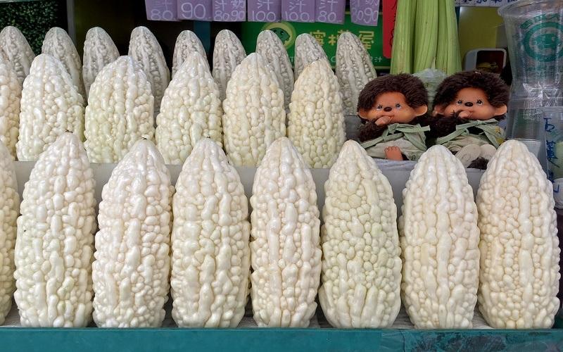 Khổ qua trắng Nhật Bản – một món quà thiên nhiên đầy quý giá, không chỉ nổi bật về vẻ ngoài mà còn với những lợi ích sức khỏe tuyệt vời. Đây là loại khổ qua có màu sắc tinh tế, chứa đựng nhiều dưỡng chất tốt cho cơ thể.